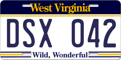 WV license plate DSX042