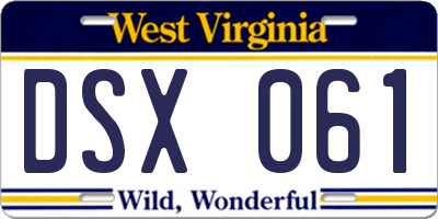 WV license plate DSX061