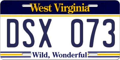 WV license plate DSX073