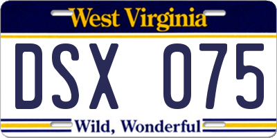 WV license plate DSX075