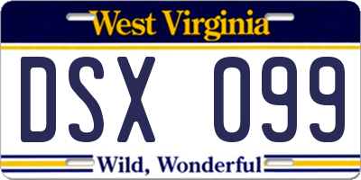 WV license plate DSX099