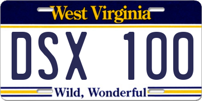 WV license plate DSX100