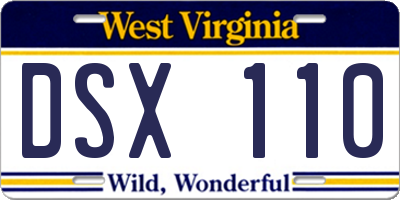 WV license plate DSX110