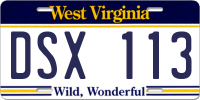 WV license plate DSX113