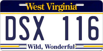 WV license plate DSX116