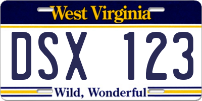 WV license plate DSX123