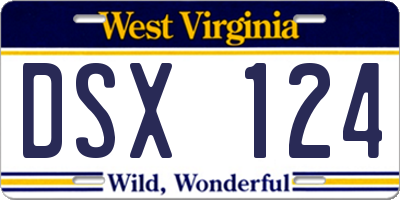 WV license plate DSX124