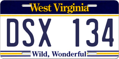 WV license plate DSX134