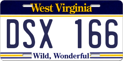 WV license plate DSX166
