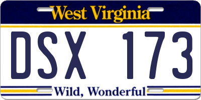WV license plate DSX173