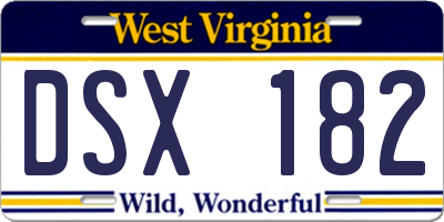 WV license plate DSX182