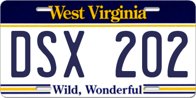 WV license plate DSX202