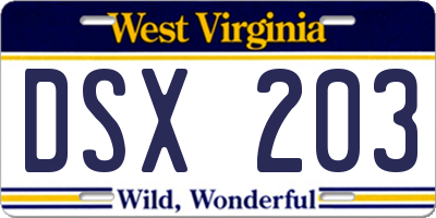 WV license plate DSX203