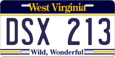 WV license plate DSX213
