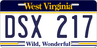 WV license plate DSX217