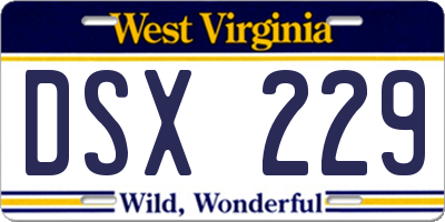 WV license plate DSX229