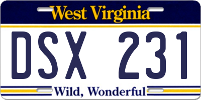 WV license plate DSX231
