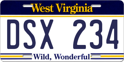 WV license plate DSX234