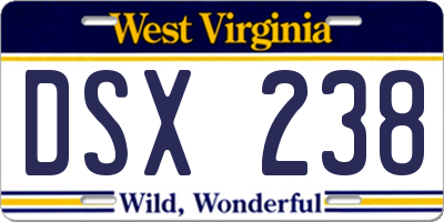 WV license plate DSX238