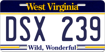 WV license plate DSX239