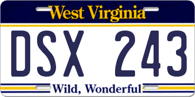WV license plate DSX243