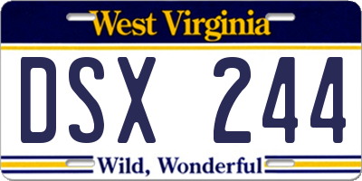 WV license plate DSX244