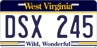 WV license plate DSX245