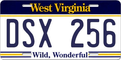 WV license plate DSX256