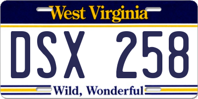 WV license plate DSX258