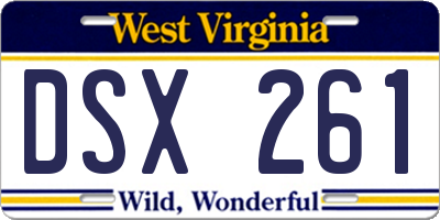 WV license plate DSX261