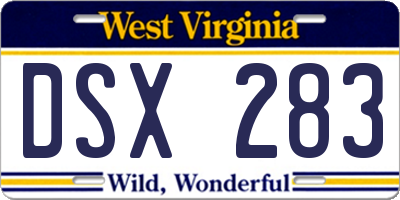 WV license plate DSX283