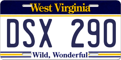 WV license plate DSX290