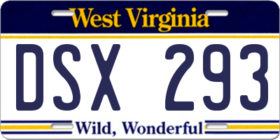 WV license plate DSX293