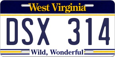 WV license plate DSX314