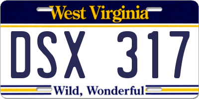 WV license plate DSX317