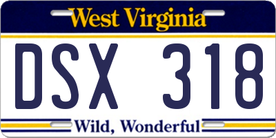 WV license plate DSX318