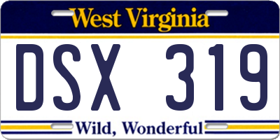 WV license plate DSX319