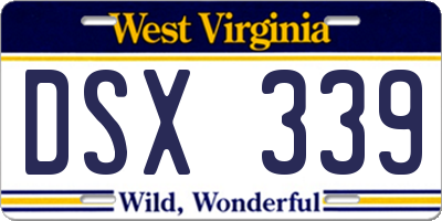 WV license plate DSX339