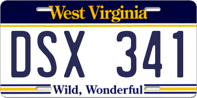 WV license plate DSX341