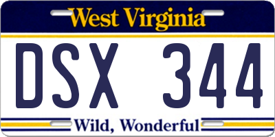 WV license plate DSX344