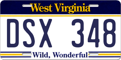 WV license plate DSX348