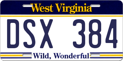WV license plate DSX384