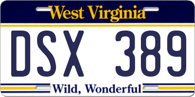 WV license plate DSX389
