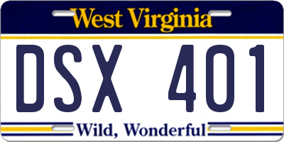 WV license plate DSX401