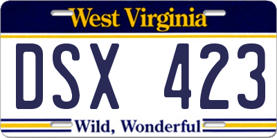 WV license plate DSX423