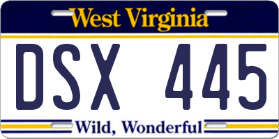 WV license plate DSX445