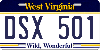 WV license plate DSX501