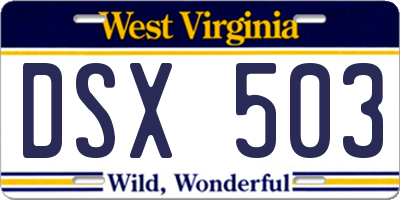 WV license plate DSX503