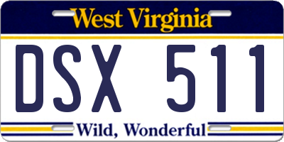 WV license plate DSX511