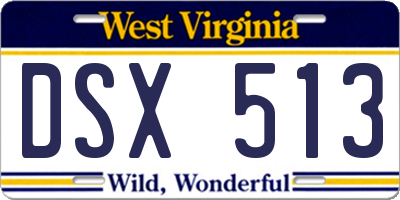 WV license plate DSX513